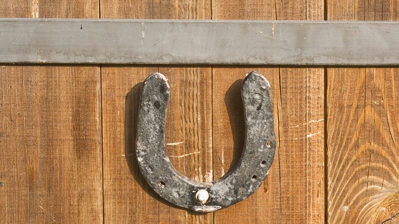 An old metal horseshoe on a wooden door