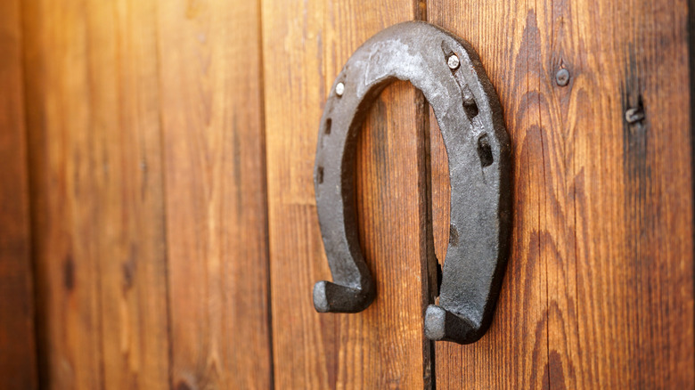 A horseshoe hung on a wooden door