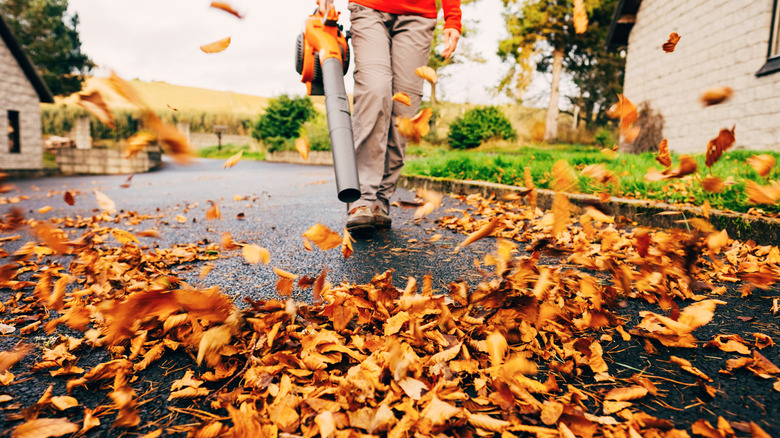 A person using leaf blower to blow leaves across a paved street