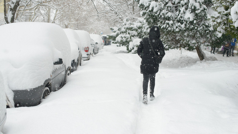 Person walking on a snow filled sidewalk