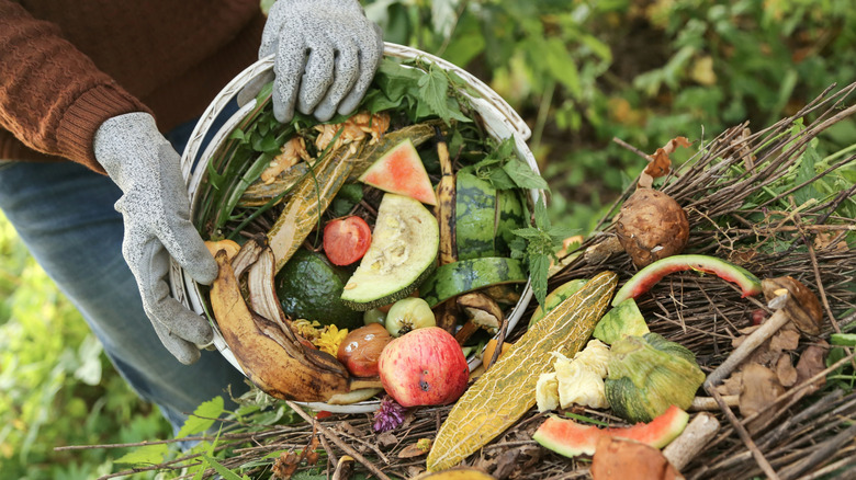 A person adds fruits and vegetables to a compost heap.
