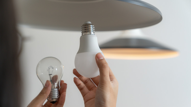 A person holding both an LED and an incandescent bulb under a light fixture