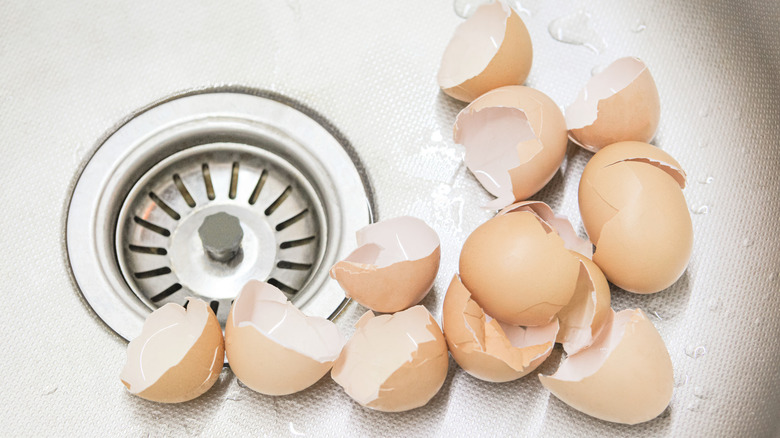 egg shells in sink