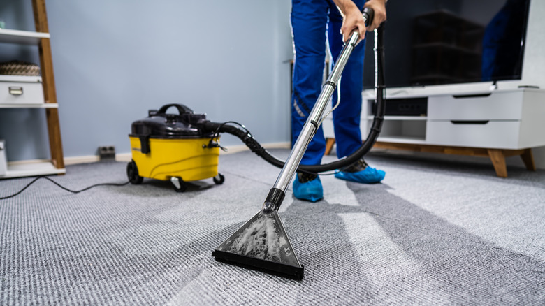 professional carpet cleaners 