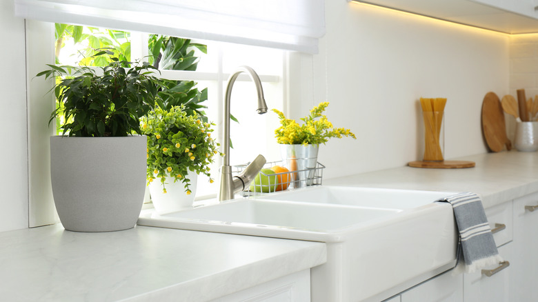 Kitchen sink in sunny kitchen