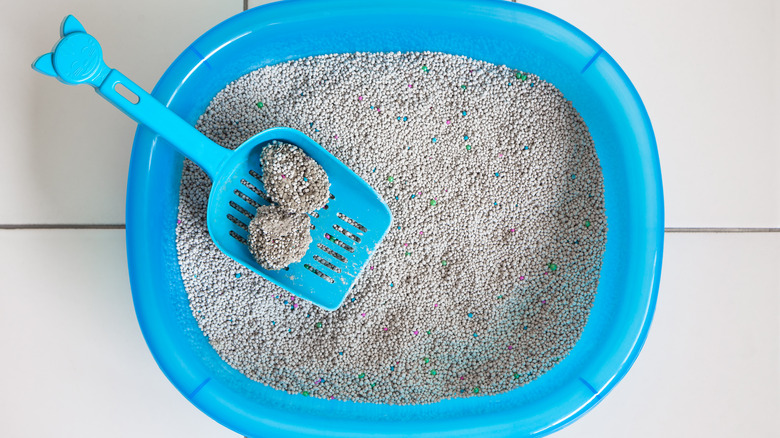Litter box with scoop