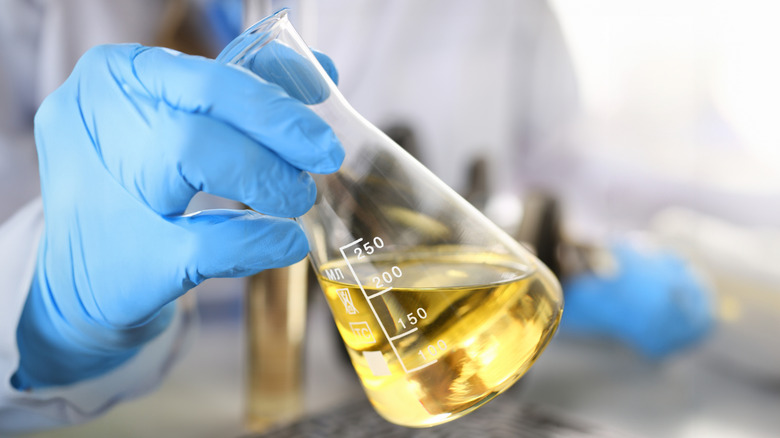 Synthetic oil in a flask being examined in a laboratory