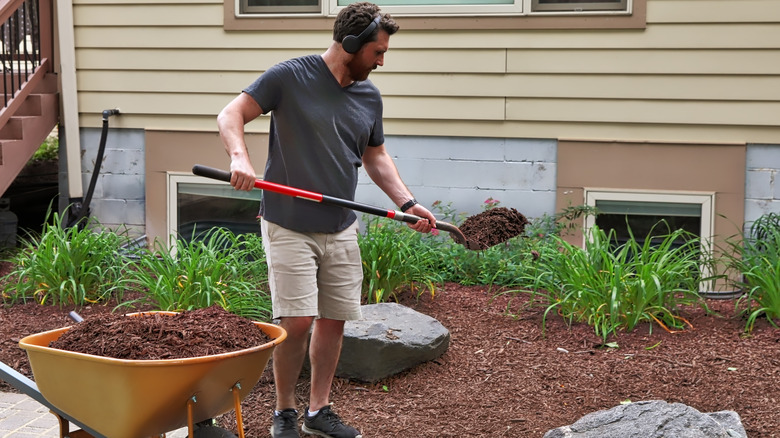 Man spreading mulch in garden