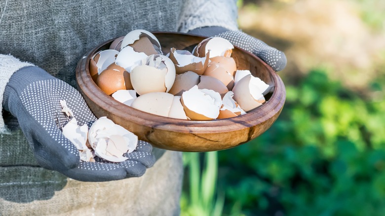 eggshells in wooden bowl