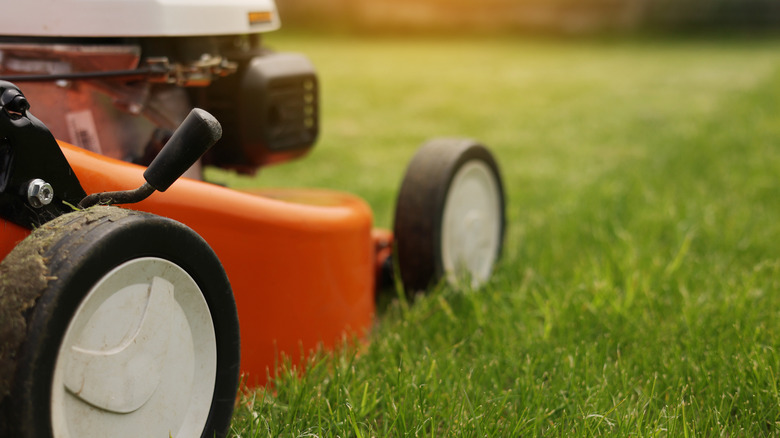 A close up of a lawn mower mowing grass