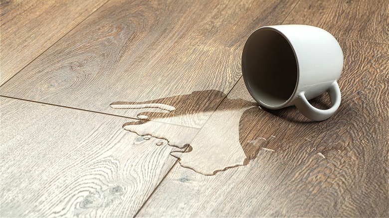 Mug of water spilled