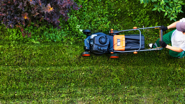 Overhead view of man mowing lawn
