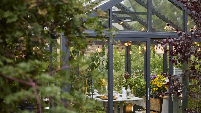 An outdoor greenhouse with entertaining space inside.