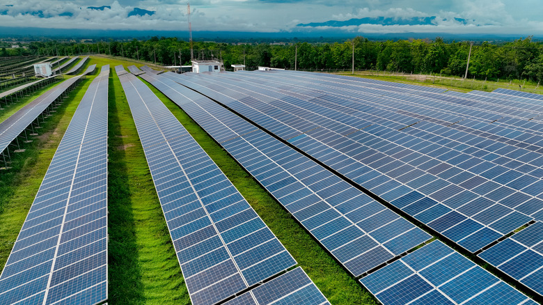 Aerial view of rows of solar panels separated by grass with trees and clouds in the background.