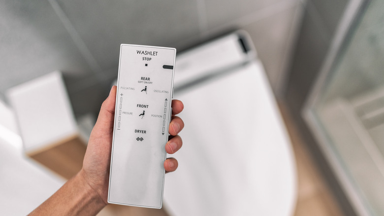 hand holding remote above toilet