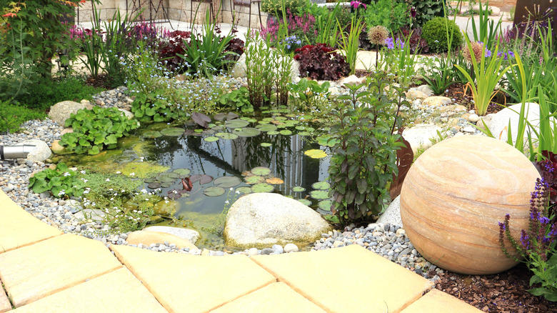 Rock garden and pond in yard