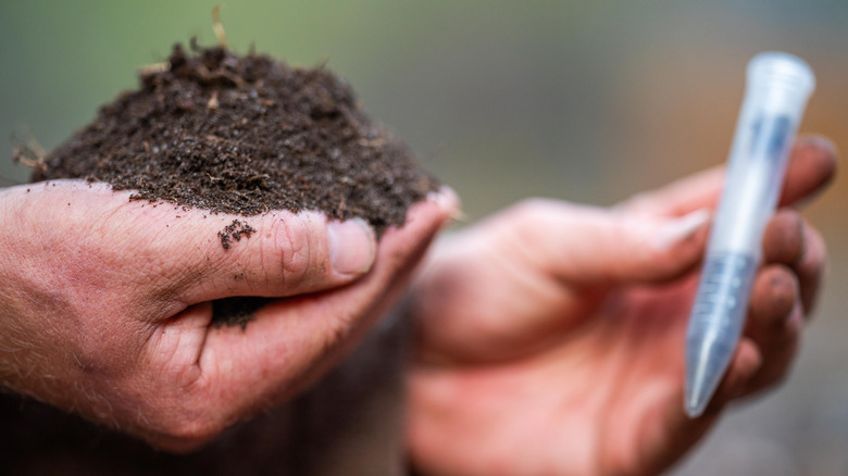 A person holds a handful of soil while taking a soil sample for a soil test.