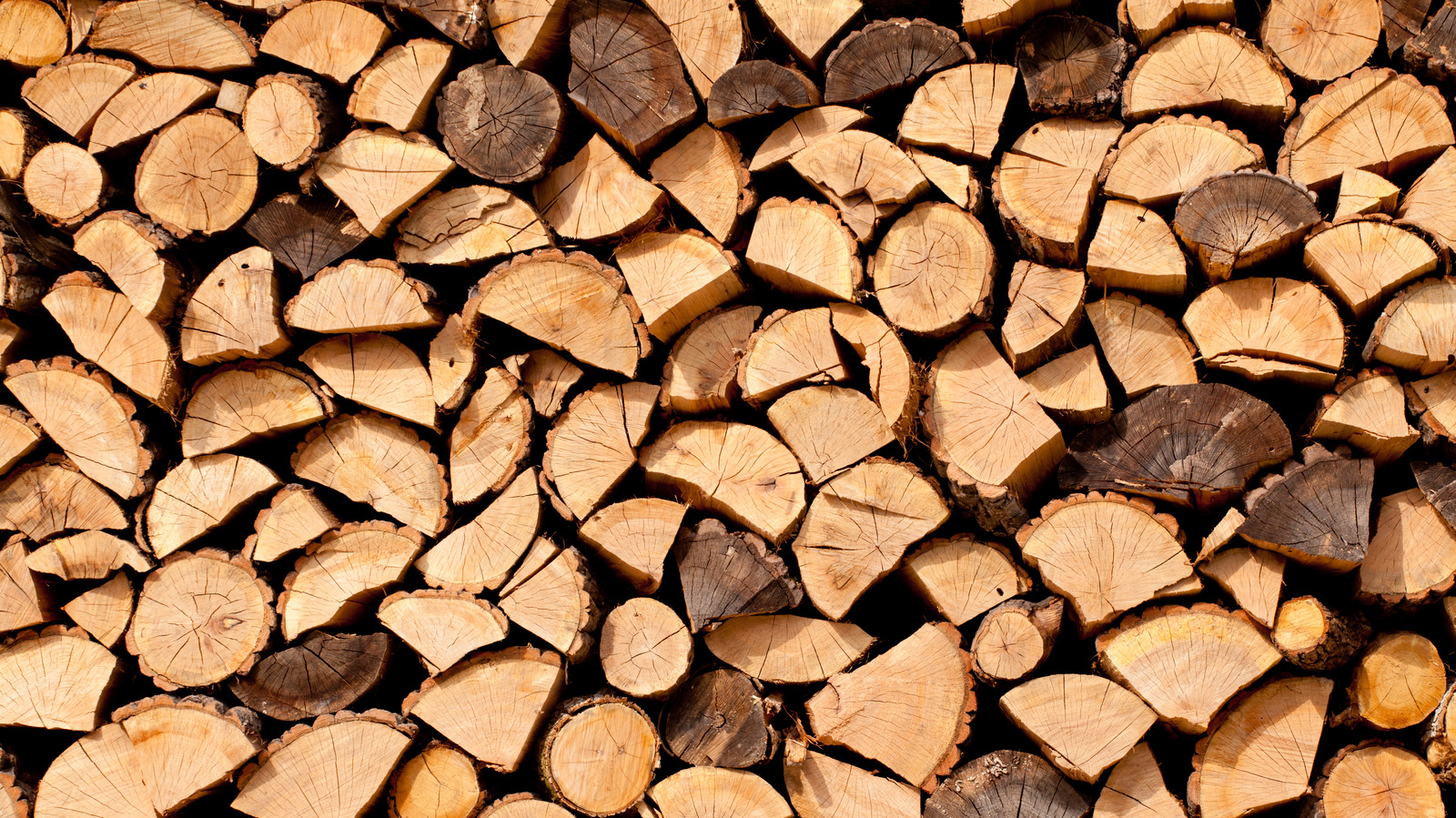 What is a cord of firewood and how should you store it 