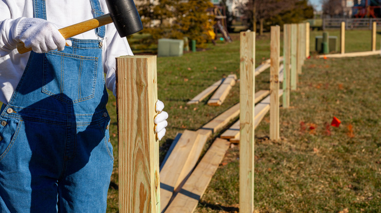 Person installing wood fence posts in a backyard