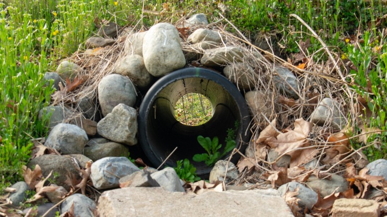 view down black drainage pipe