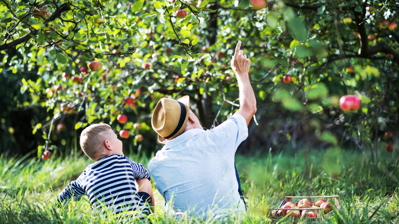 orchard with older man and child