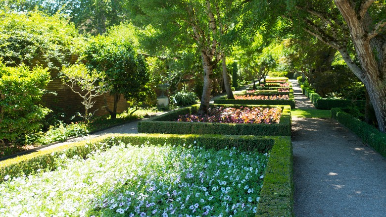parterre garden along path