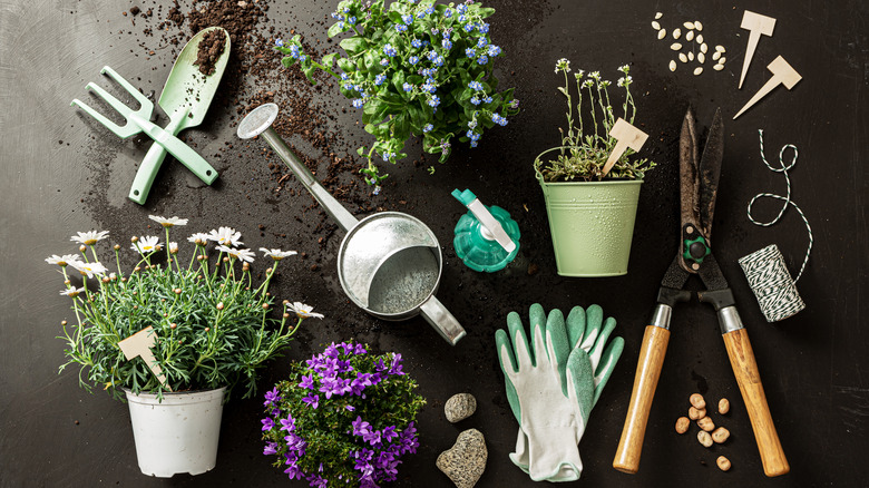 Array of gardening tools