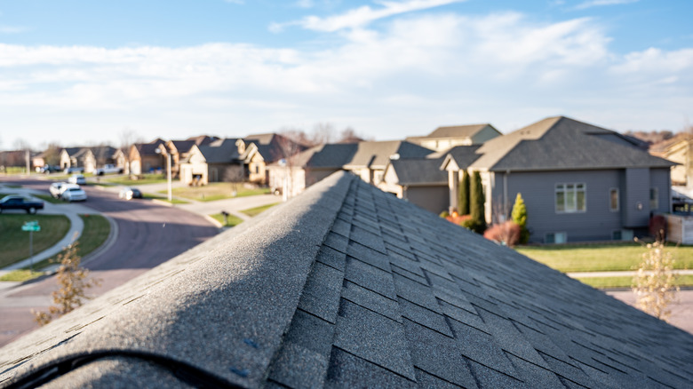 Black roof ridge
