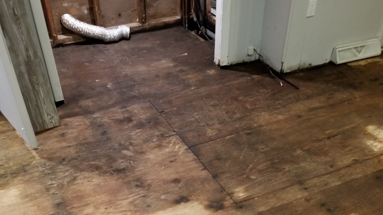 Water damged subfloor
