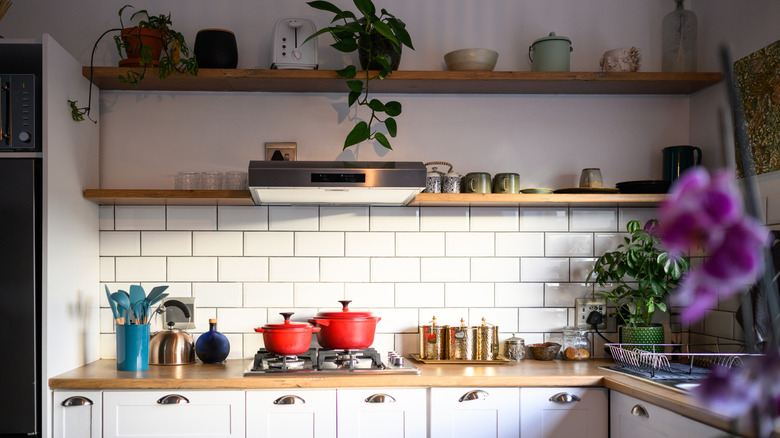 modern kitchen with plants and colorful tools