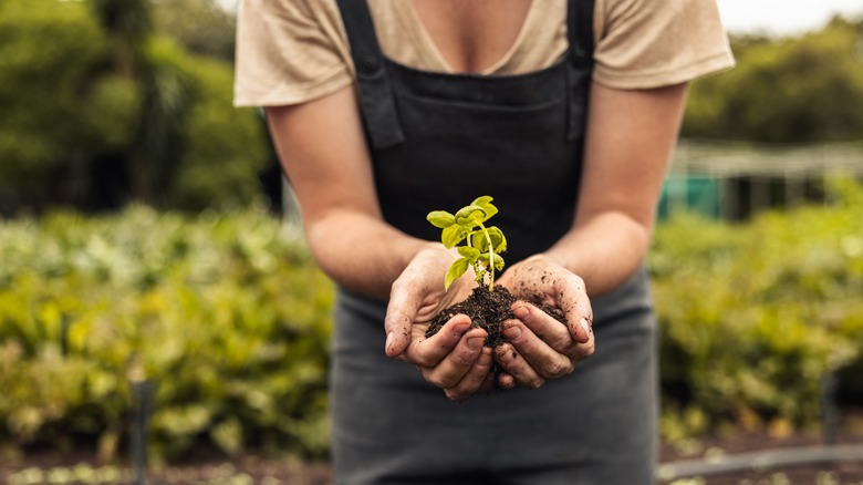 Woman holding dirt and seedling