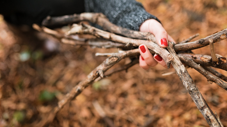 A woman's hands holding broken branches