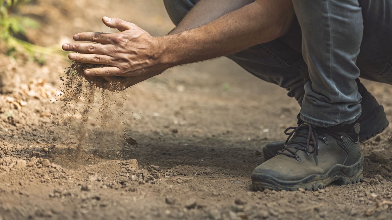 What Is A Waffle Garden And How It Makes Growing In The Desert Easier