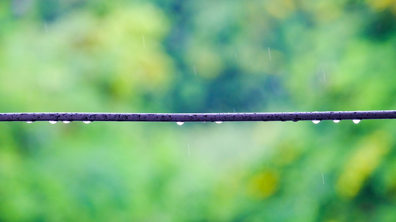 droplets on cable green background