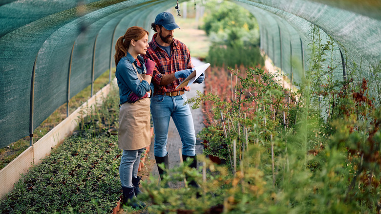 Man and woman reviewing paperwork in a greenhouse with plants and flowers.