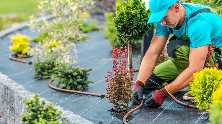 man installing sprinkler system