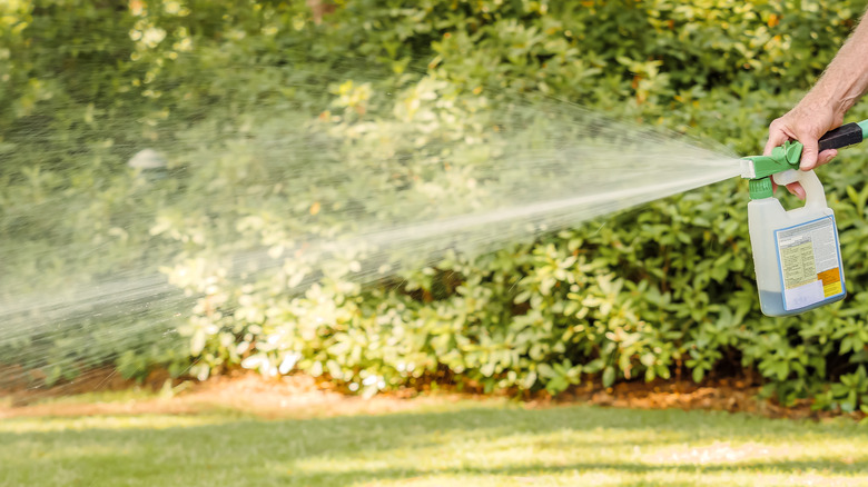 Man spraying herbicide over grass