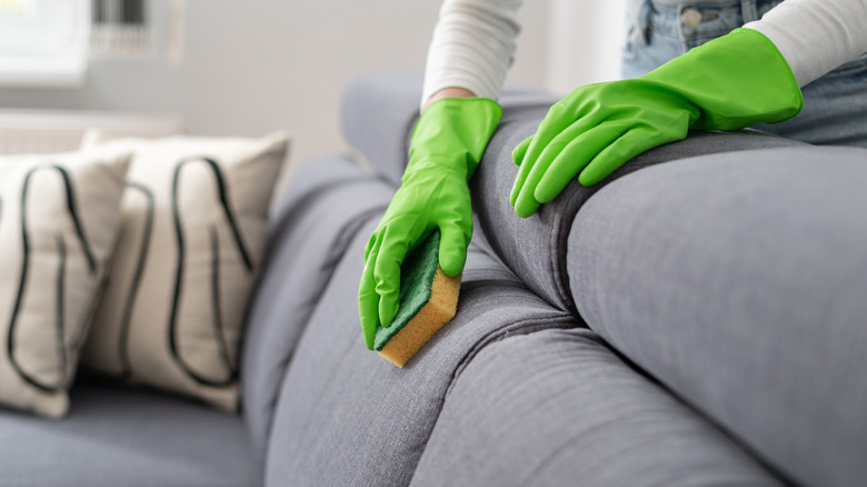 Person cleaning upholstered couch