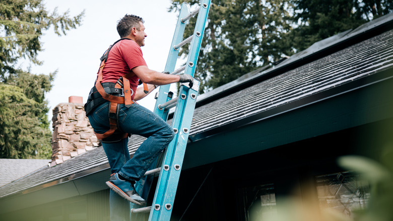 Man climbing onto a roof with a ladder