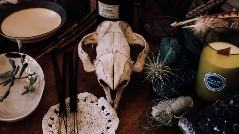 animal skull and trinket decorations