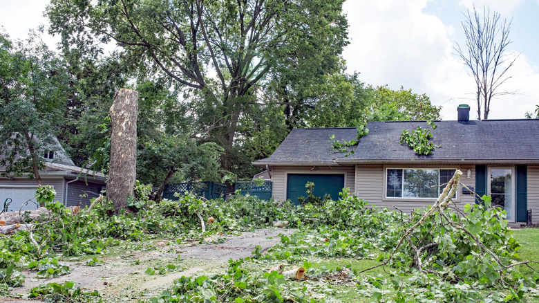 Home after hurricane