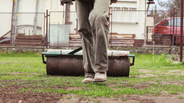 person rolling lawn