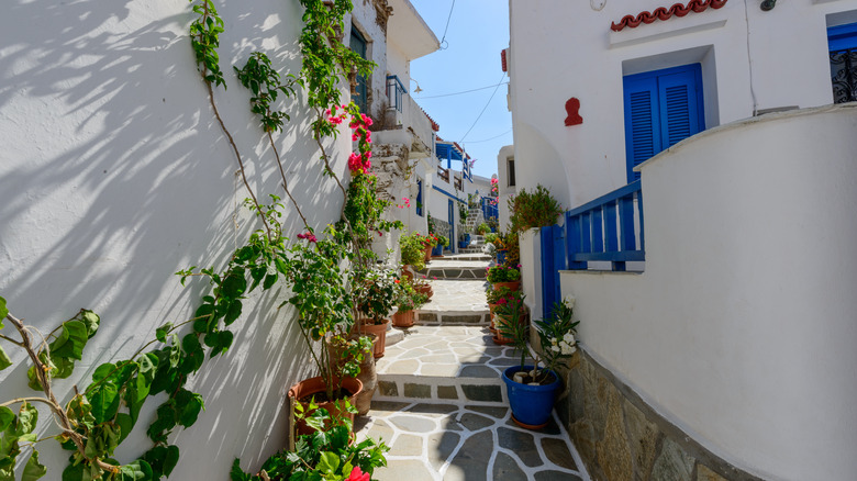 alley between limewashed houses