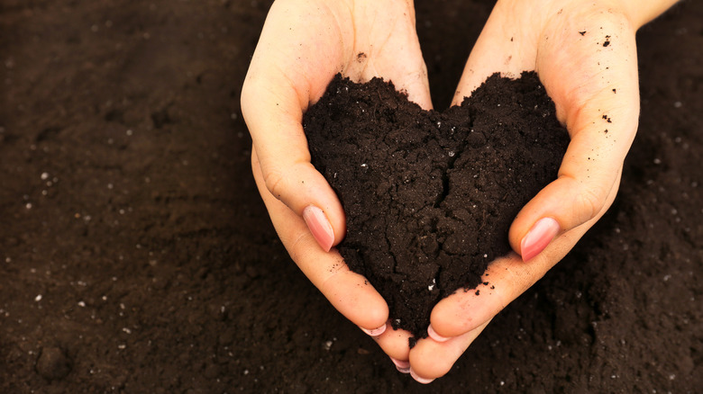 Hands cupping soil shaped heart