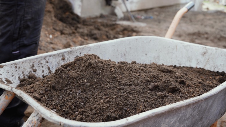 Wheelbarrow full of dirt