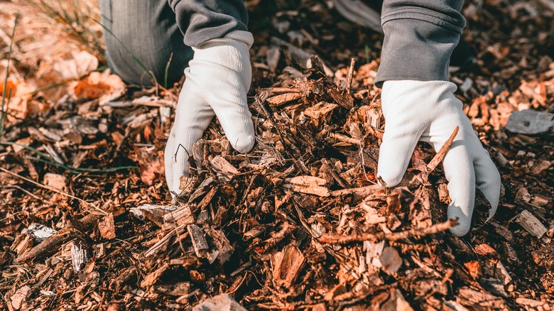 Hands grabing a mound of mulch