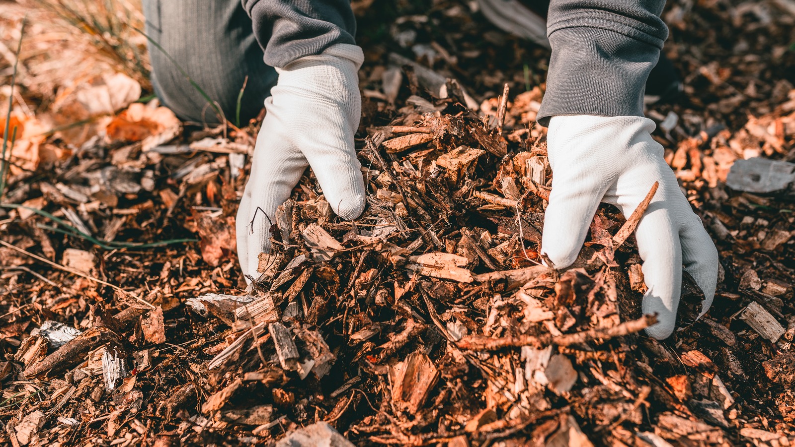 What Is Mulch Glue And Is It Safe For Your Garden?