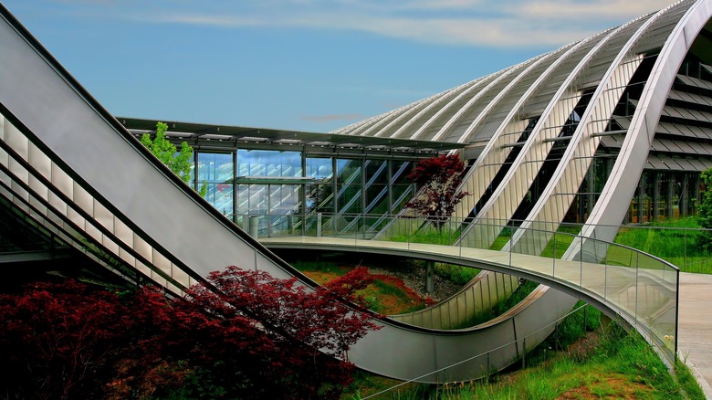 Curvy organic architecture with plants