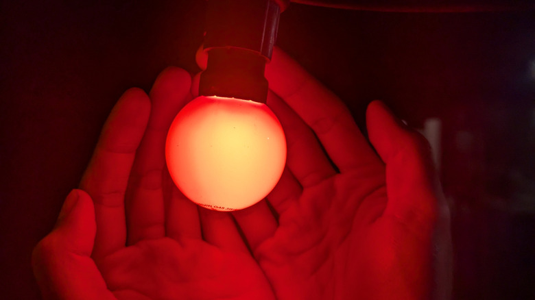 A person holding a red lightbulb in their hand