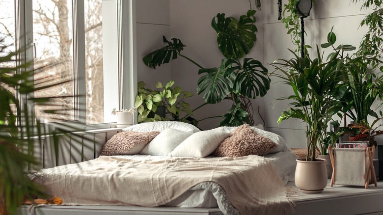 room with big window and plants